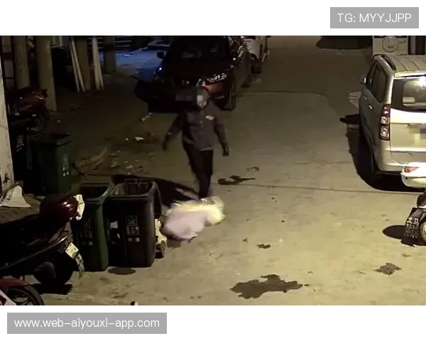 黑熊“出逃”酿惨剧，谁来负责？