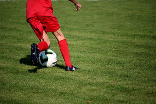 爱游戏体育官方入口-NBA球员技术动作进阶训练，nba球员训练方式