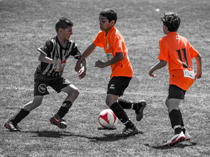 爱游戏电脑版官网-NBA球员训练营活动，nba球员训练营活动安排